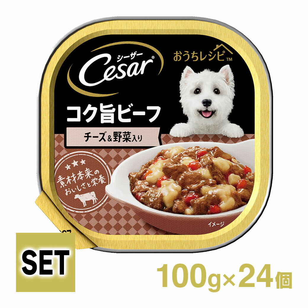 Cesar V[U[ Vs RN|r[t `[Yؓ 100g~24