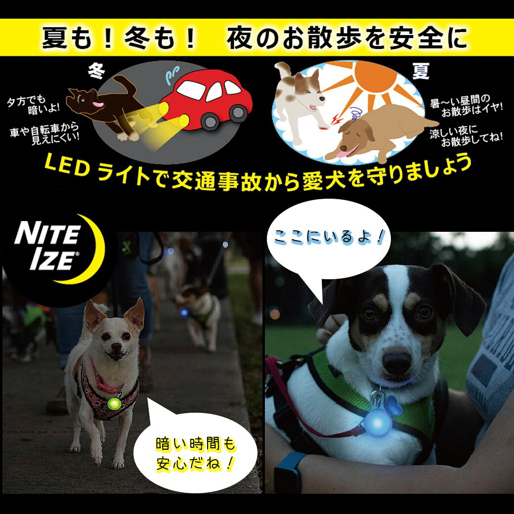 ナイトアイズ スポットリット ■ 犬用 お散歩 ライト LED NITE IZE SPOTLIT carezza-10011692 カレッツァ〜犬用品&ドッグフード サンプル画像2