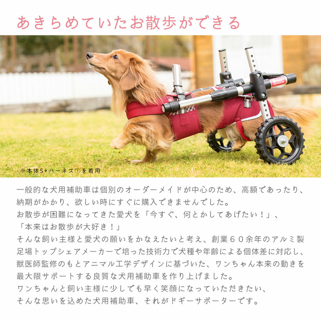 ピカコーポレーションペットアドバンス『犬用補助車ドギーサポーター』