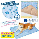 在庫一掃 アウトレット ペティオ 犬猫用 ひんやり抗菌防臭マット L 3