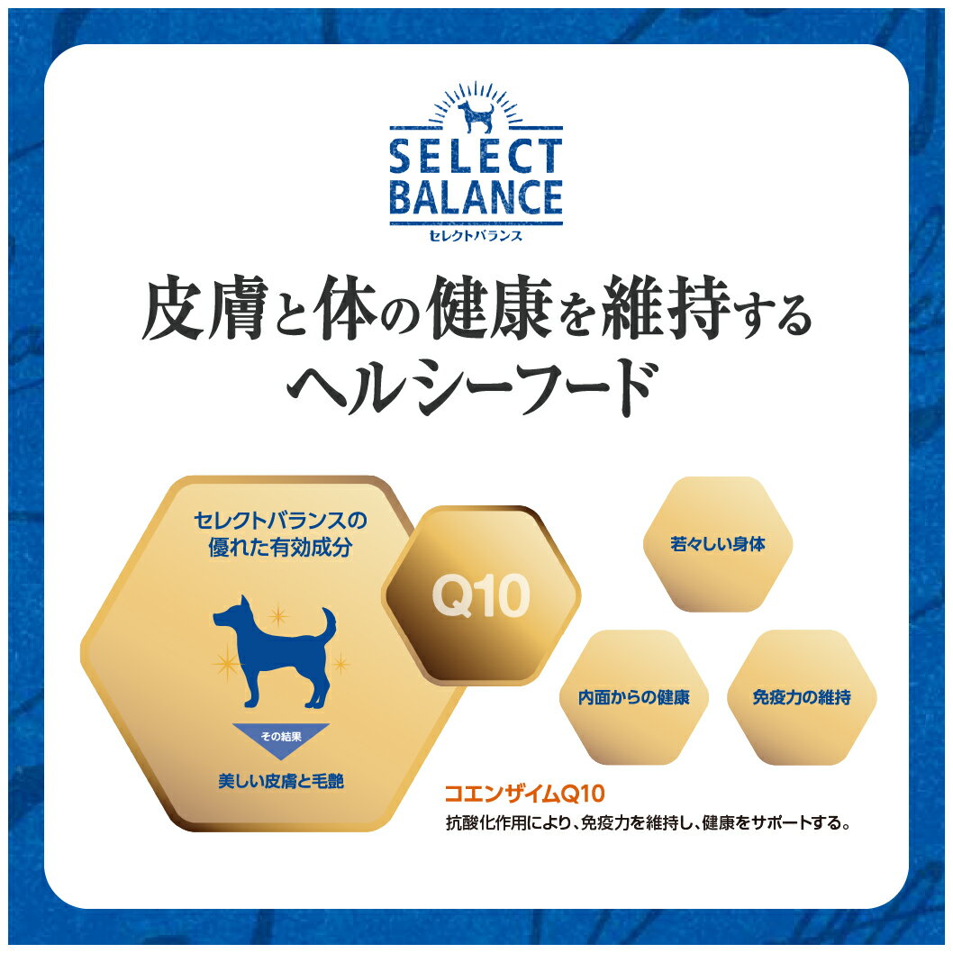 セレクトバランス アダルト 成犬用 ラム 小粒...の紹介画像2