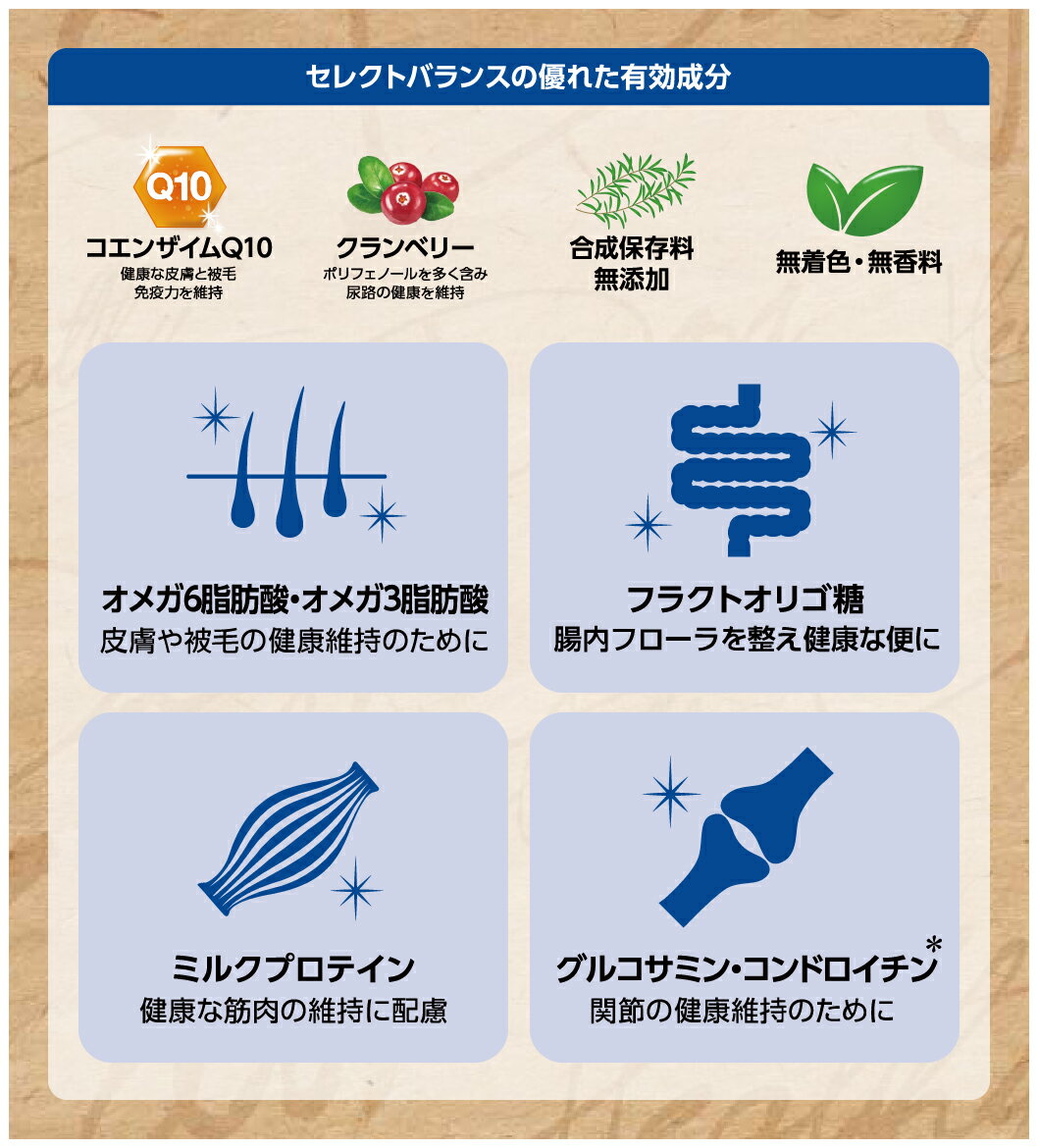 セレクトバランス アダルト 成犬用 ラム 小粒...の紹介画像3