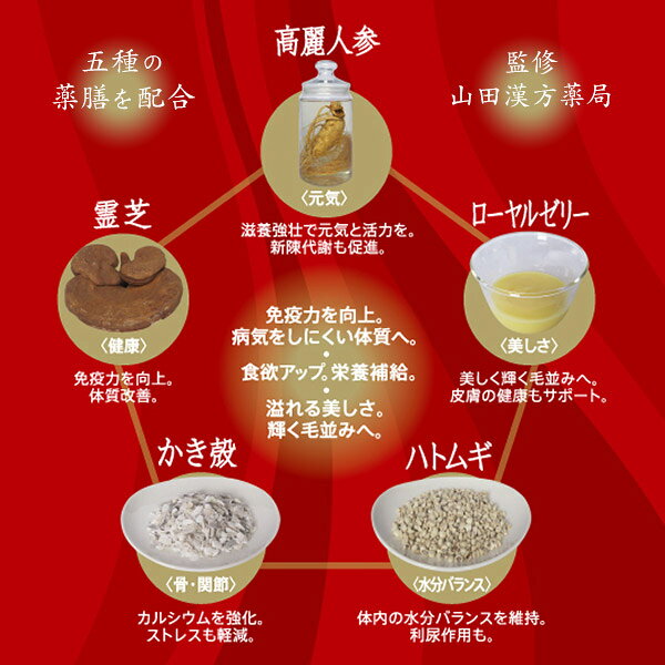 オリエント商会 馬肉五膳 シニア 200g carezza-10022833 カレッツァ〜犬用品&ドッグフード サンプル画像2