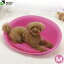 リッチェル ペットベッド オーバル M ピンク 【ベッド・マット/小型犬用ベッド・カドラー/猫用ベット/ペット ベッド】【犬用品・猫用品/ペット用品・ペットグッズ】 同梱不可 3,180円