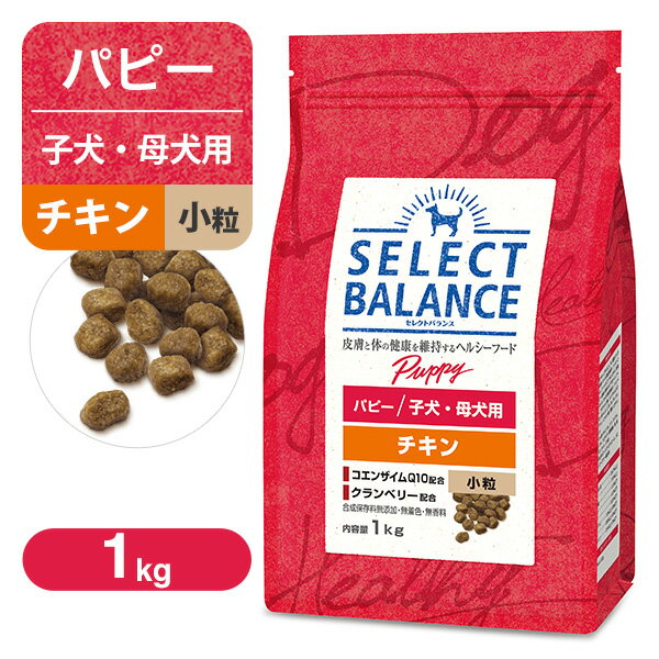 Rakuten - セレクトバランス パピー（子犬用） チキン 小粒 1kg