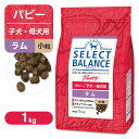 セレクトバランス パピー（子犬用） ラム 小粒 1kg ■ ドッグフード Select Balance 生後1才令未満 妊娠 授乳期の成犬用