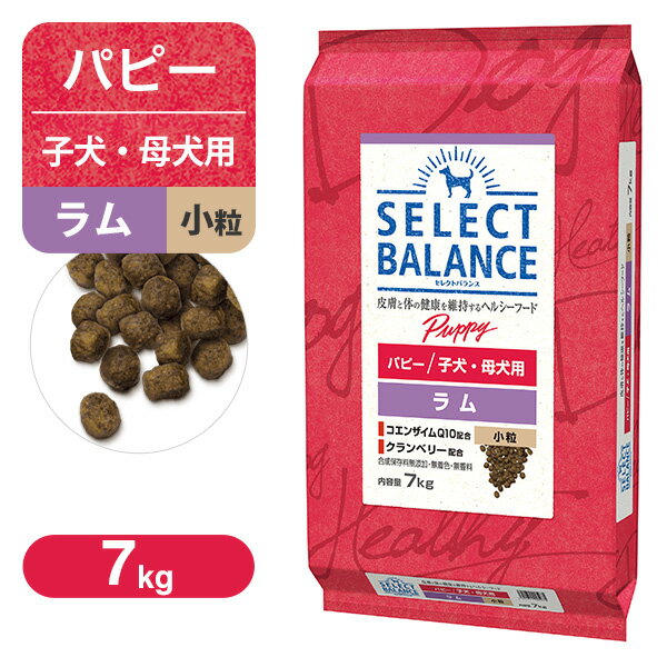 쥯ȥХ ѥԡʻҸѡ  γ 7kg