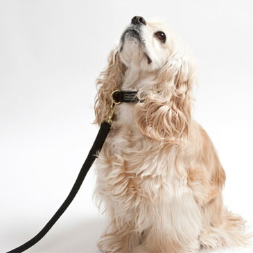 FLAVOR.×PORTER フレーバー×ポーター 吉田かばん ナイロンリード 5th Model Lサイズ fpd-087 【犬 リード/ナイロン(中型犬用)/首輪・胴輪・リード】【犬用リード】【犬用品/ペット・ペットグッズ/ペット用品】【あす楽対応】
