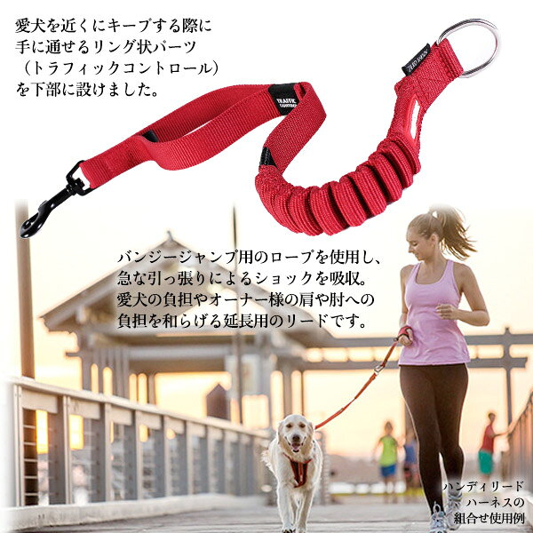 EZYDOG イージードッグ ゼロショック エクステンション