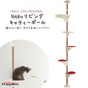 キャットタワー ドギーマン Nekoリビング キャティ―ポール ■ 猫用品 おもちゃ キャティーマン 同梱不可