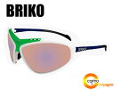 BRIKO STINGER【復活】ブリコ スティンガー サングラス BRIKO STINGER【復活】ブリコ スティンガー サングラス
