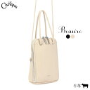【500円OFFクーポン配布中!セール】ミニショルダーバッグ BEAURE ビュレ 本革 牛革 レザー ブガッティ型 2WAY 台形 個性的 おしゃれ かわいい シンプル B-24017