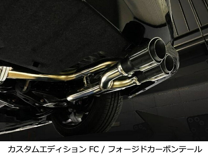 新発売！代引き不可（沖縄・離島への発送不可）【BLITZ/ブリッツ】EX-SYSTEM [エキゾーストシステム/マフラー] NUR-SPEC CUSTOM EDITION FC フォージドカーボンテールセット [プレリュード BF1] 63592F
