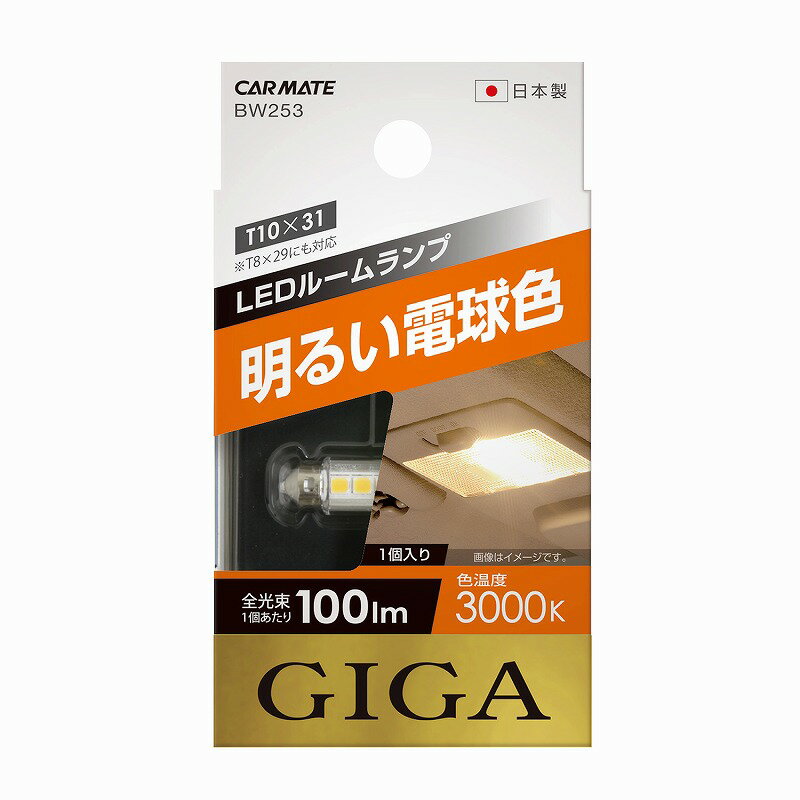 車 LEDルームランプ カーメイト BW253 LEDルームR100S 3000K 車用12V ルームランプ LED carmate