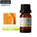 【2本で送料無料】 車 芳香剤 はじけるカンキツMIXの香り 季節限定...(2)
