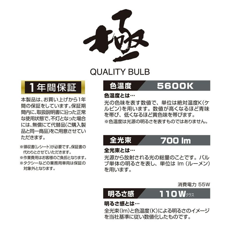 �ϥ�����Х�� H11 5600K GIGA BD1127N �����֥롼�ץ饹 5600K H11 carmate �����ᥤ�� (R80)