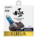 BD1137 H11 6000K カーメイト GIGA