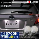 車 ナンバー灯 LED ライセンスランプ 2個セット BW154 GIGA LED ライセンスバルブ R80T 6700K 80LM T10 全方向照射 車検対応 安心 日本製 お得 セット carmate (R80)