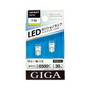 訳あり 車 LED車幅灯 カーメイトBW20 LEDポジションバルブ E30T ホワイト 対応バルブタイプ T10 口金 W2.1×9.5d 6500Kクラス 全光束 30lm 白熱球のLED互換球 carmate (R80)