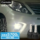 車 LED フォグ HB4 カーメイト BW5131 F2800 5700K HB4 2800lm 3年間保証 GIGA F2800シリーズ LEDフォグランプ LEDフォグバルブ carmate