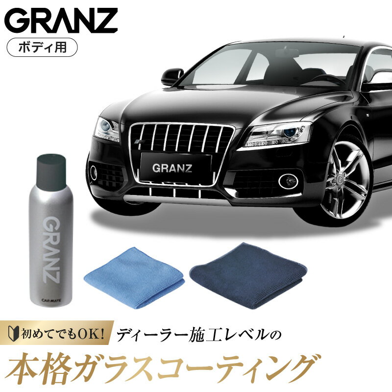 WILLSON ウィルソン グラスガード　ダークカラー　 小型車用　A液： 70ml　B液：4.5ml