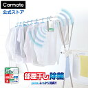 部屋干し グッズ 消臭 除菌 家庭用 安定化二酸化塩素 カーメイト DSD42 ドクターデオ 部屋干しの除菌 掛けタイプ 部屋干しのニオイ菌を撃退 約60日間持...