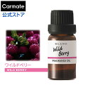 車 芳香剤 ワイルドベリー L10015 ブラング フレグランスオイル 香り blang カーメイト carmate