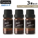 車 芳香剤 アップル & ジャスミン 3本セット L10054×3本 ルーノ 噴霧式フレグランスディフューザー専用 フレグランスオイル いい匂い フルーティ 香り カーメイト carmate(R80)