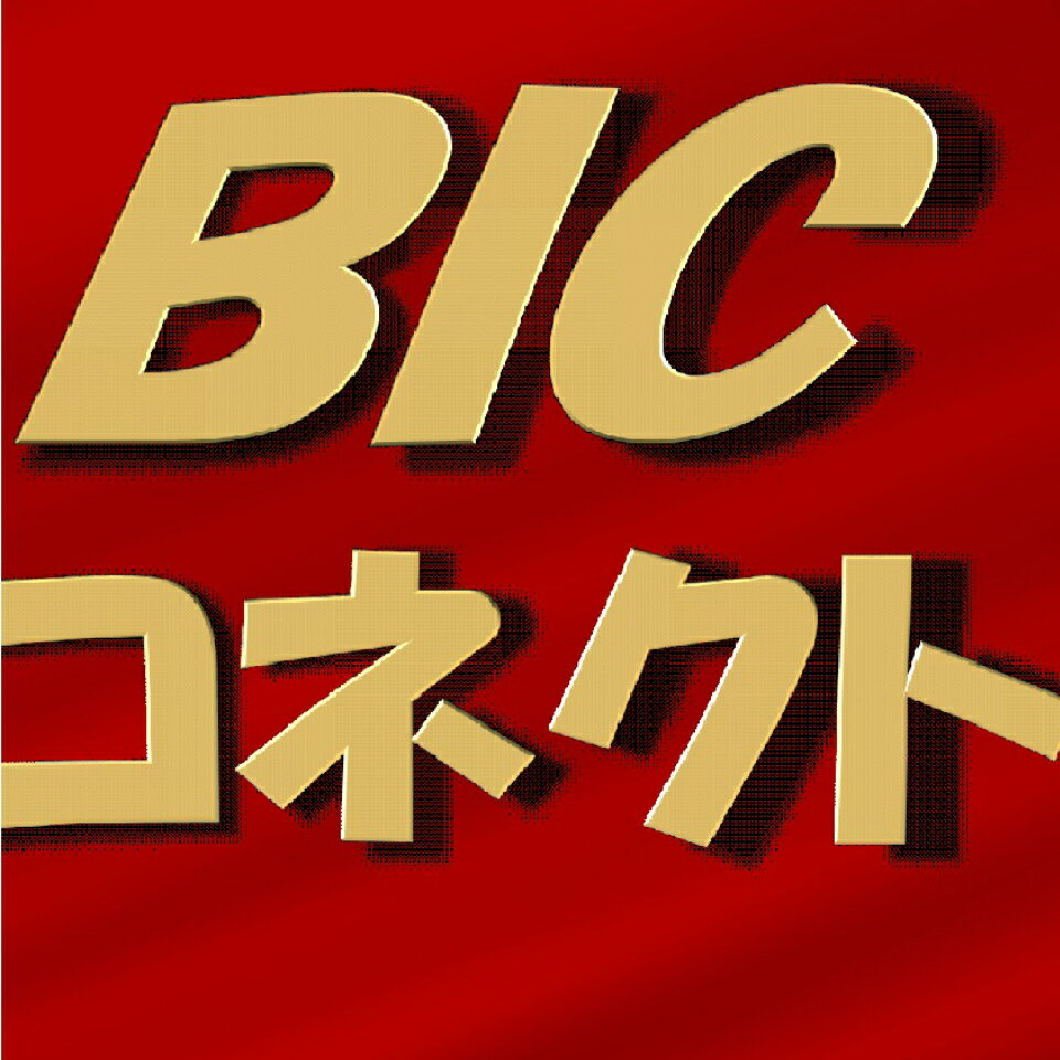 楽天市場 | BIC コネクト - カーナビ専門店