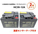 【温度センサーテープ付き】エナジーウィズ Tuflong 小型制御弁式鉛蓄電池(サイクルバッテリー) HC38-12A スズキセニアカー用 シニアカー 【2個セ...