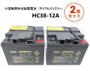 エナジーウィズ Tuflong 小型制御弁式鉛蓄電池(サイクルバッテリー) HC38-12A スズキセニアカー用 シニアカー 【2個セット】