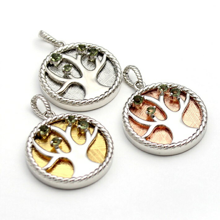 ツリーオブライフ ギベオン モルダバイト 隕石 神聖幾何学 生命の樹 シルバー925 ペンダント ( ペンダントトップ ) レディース メンズ アクセサリー プ...