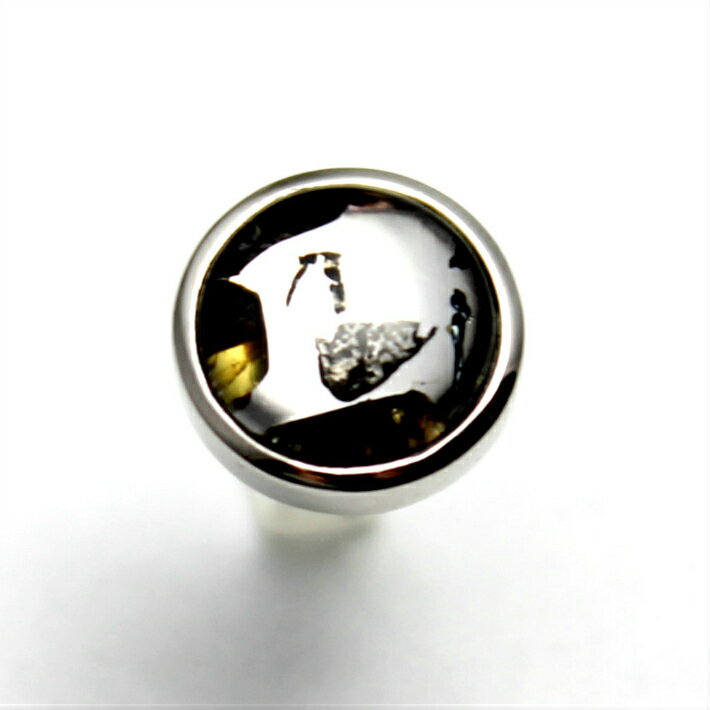 パラサイト 隕石 ピアス レディース メンズ シルバー925 パワーストーン シルバーピアス アクセサリー 宇宙 メテオライト シルバー シンプル プレゼント ...