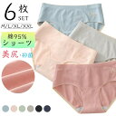 シームレスショーツ 綿 6枚 セット ショーツ 下着 レディース コットン 縫い目なし ストレスフリー パンツ 鼠径部 綿100% 締め付けない お尻 すっぽり スタンダード ノーマル 快適 薄型 無地 温活 デイリー 生理用 M L LL