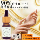 【ジェル爪 5本セット 】 ネイルオイル 爪 オイル キューティクルオイル 自爪育成 自爪 足爪 ジェル爪 大人の爪オイル ハイポニキウム ネイル ケア 育爪 ...
