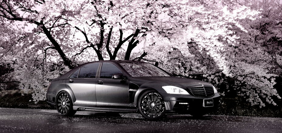 樂天商城 - WALD　ヴァルド　（SPORTS LINEBLACK BISON EDITION 　スポーツラインブラックビジョンエディション）メルセデスベンツ　S‐CLASS　W221　サイドステップ