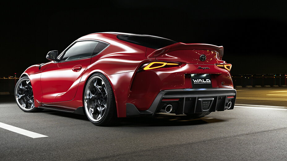 WALD��������ɡ���SPORTS LINE �����ݡ��ĥ饤���GR�����ץ顡DB�ϡ��佤�� �ꥢ������