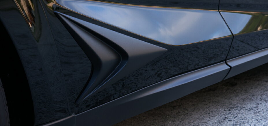 WALD ヴァルド(SPORT LINE BLACK BISON EDITION　スポーツラインブラック バイソン エディション）レクサス　NX　AYZ　AGZ　10　15　アローヘッドパネル