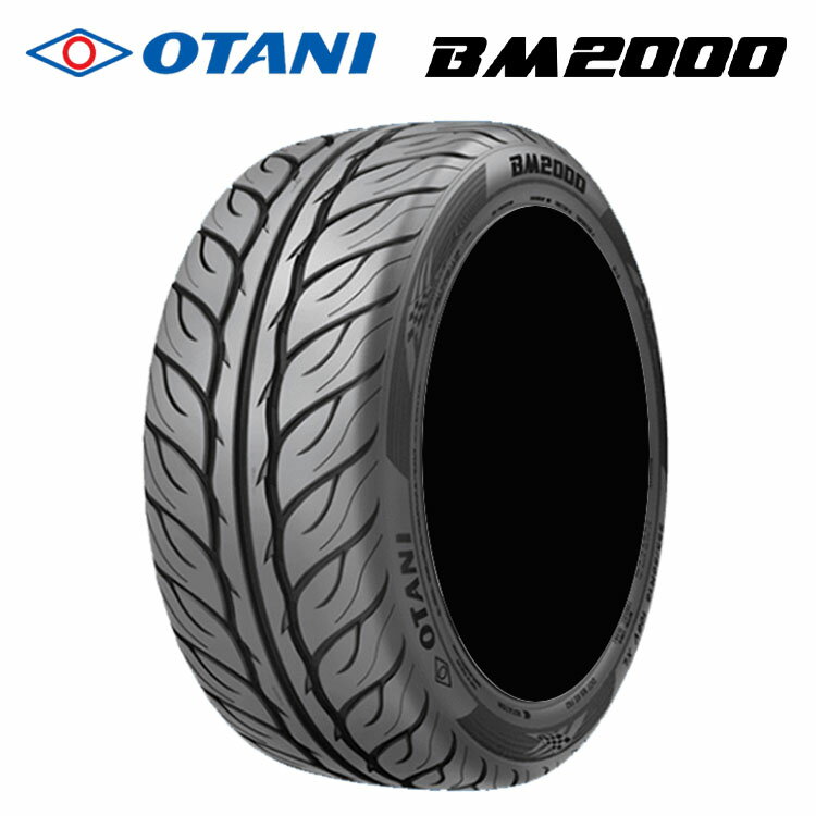 送料無料 オータニ ビーエムニセン (1本/2本/4本) OTANI BM2000 (TREAD180) 255/35R18 94W XL (18インチ)