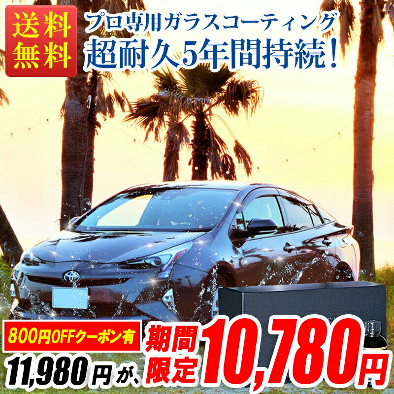 【Sセール限定800円OFFクーポン!】 ガラスコーティング剤 車 5年間持続 プロ専用 超耐久 50ml 最強 業務用 超撥水 ガラスコーティング KIRAPI-CAR GLOSSY PRO 送料無料 自動車 コーティング剤 完全硬化 おすすめ 硬化 洗車用品 カーコーティング剤 メンテナンス用品