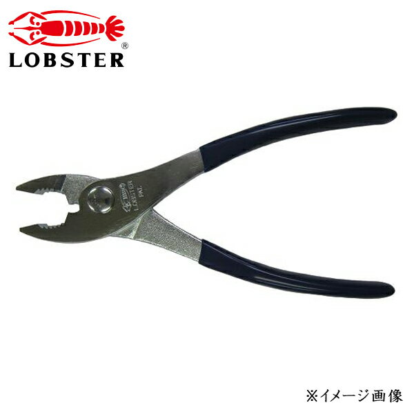 LOBSTER uebNX olt vC[ P150S