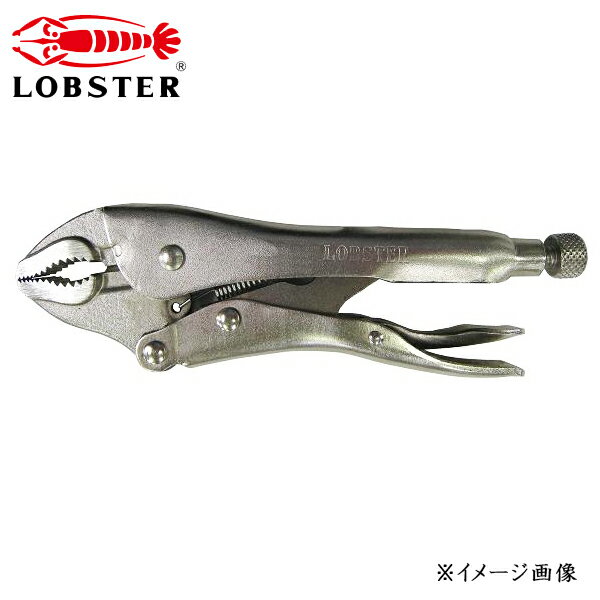 LOBSTER ֥ƥå Хץ饤䡼 ֥ å VW175N