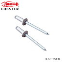 LOBSTER ロブテックス ブラインドリベット 丸頭 アルミボディ/スティールマンドレル1000本入 NSA56(4)