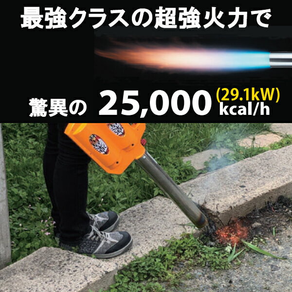 �������ե� ���������������� ��ƥС��ʡ� �ڳ���� KYC-700