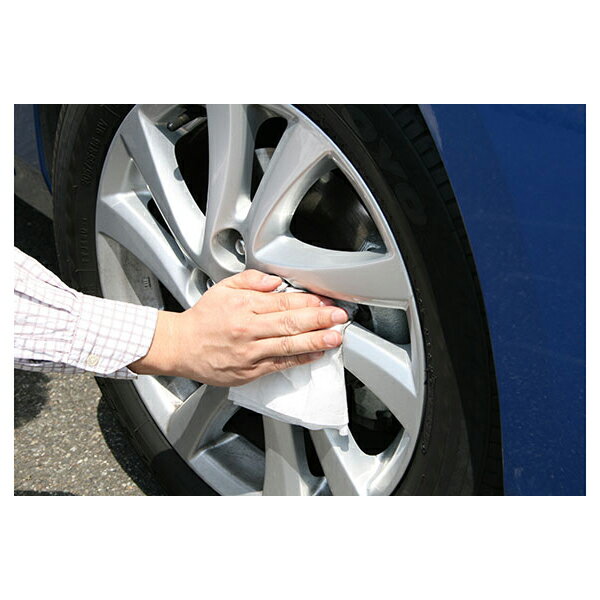 ���ե�99 �ե��ԥ� �ۥ��������� �������������� W135 ��Ƚ 10����