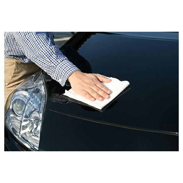 ���ե�99 �ե��ԥ� �� ����&�ĥ�WAX ŷ������ʥ��۹� W160 10����