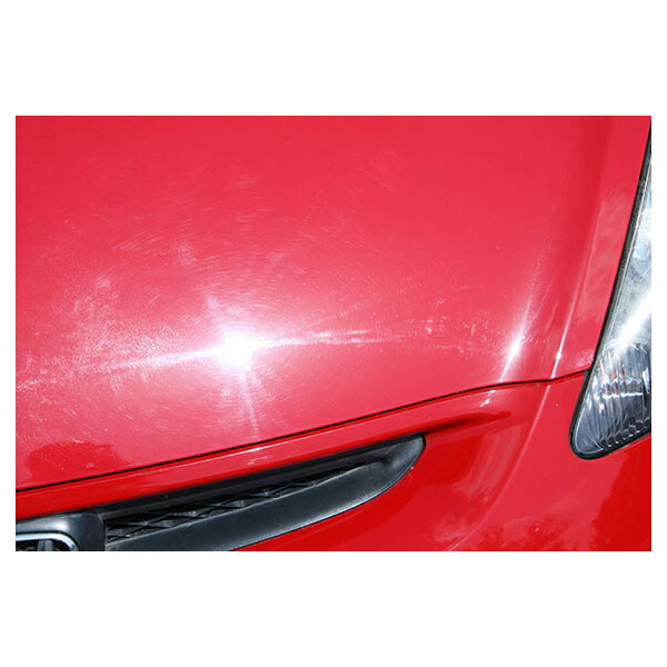 ���ե�99 �ե��ԥ� �����ä� ���̻ž夲 W169 10����