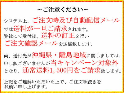 DENSO デンソー クリーンエアコンフィルター DCC2005 セフィーロ用A32系