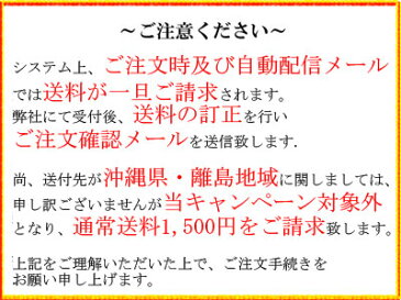 ＜送料無料＞【DENSO】デンソー　イリジウムパワー　IK16　3本セット