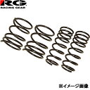 RG ホンダ ゼスト/ライフ JE1/JB5/JB7用 ダウンサス レーシングギア LOWFORM REVOLUTION SH034A